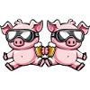 Pig Ski Team Bière
