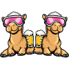 Kamel Ski Team Bier