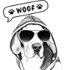 Dog with sunglasses and hood
