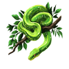 Grüner Baumpython Schlangen Liebhaber Terrarium