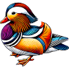 Mandarin duck