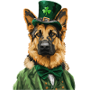 Deutscher Schäferhund
