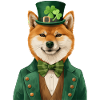 Shiba Inu