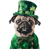 Mops