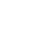 Jesus Christ 2028 The Only Hope for Ameri