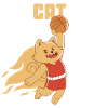 BasCatball Purrfect Dunk