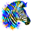 Zèbre