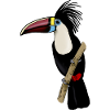 Toucan sur une branche