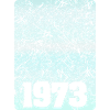 Year 1973