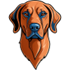 Cartoon Comic Cool Mascot Dog