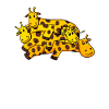 Girafe Girafes
