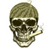 Watermelon Head Skull Styled