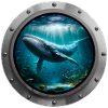 Humpback Whale