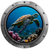 Sea Turtle Animal - 3