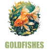 Goldfish Goldfish