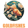 Goldfish Goldfish