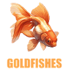 Goldfish Goldfish