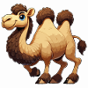 Camel man