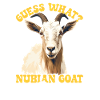 Nubian Goat, goat breeder