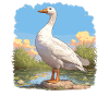 geese goose