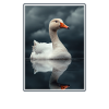 geese goose