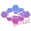 Tauchen - Diving - Scuba Diver