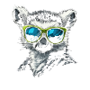 Funny Lemur With Sunglasses