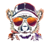 Stylish Lemur With Sunglasses And
