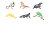 Fascinating reptile diversity: geckos, iguanas
