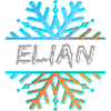 Elian Elian