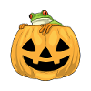 Grenouille Halloween Citrouille
