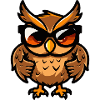 owl animal