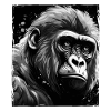 Portrait de gorille