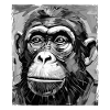 Monkey Portrait