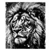 Lion Portrait