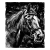 Horse Portrait