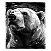 Eisbär Porträt Polar bär