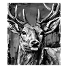 Portrait de cerf