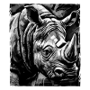 Rhinoceros Portrait