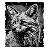 Fox Portrait