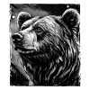 Bear Portrait