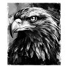 Adler Porträt