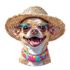 Chihuahua with straw hat & sunglasses