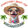 Chihuahua in summer look: Pawsitively Ready