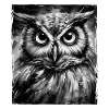 Owl Portrait