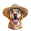 Labrador mit Strohhut & Sonnenbrille