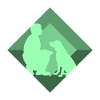Dog Training Dog Sports