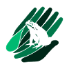 Amphibian Quark