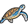 Cute cartoon turtle