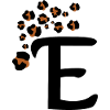 Letter e leopard patterns